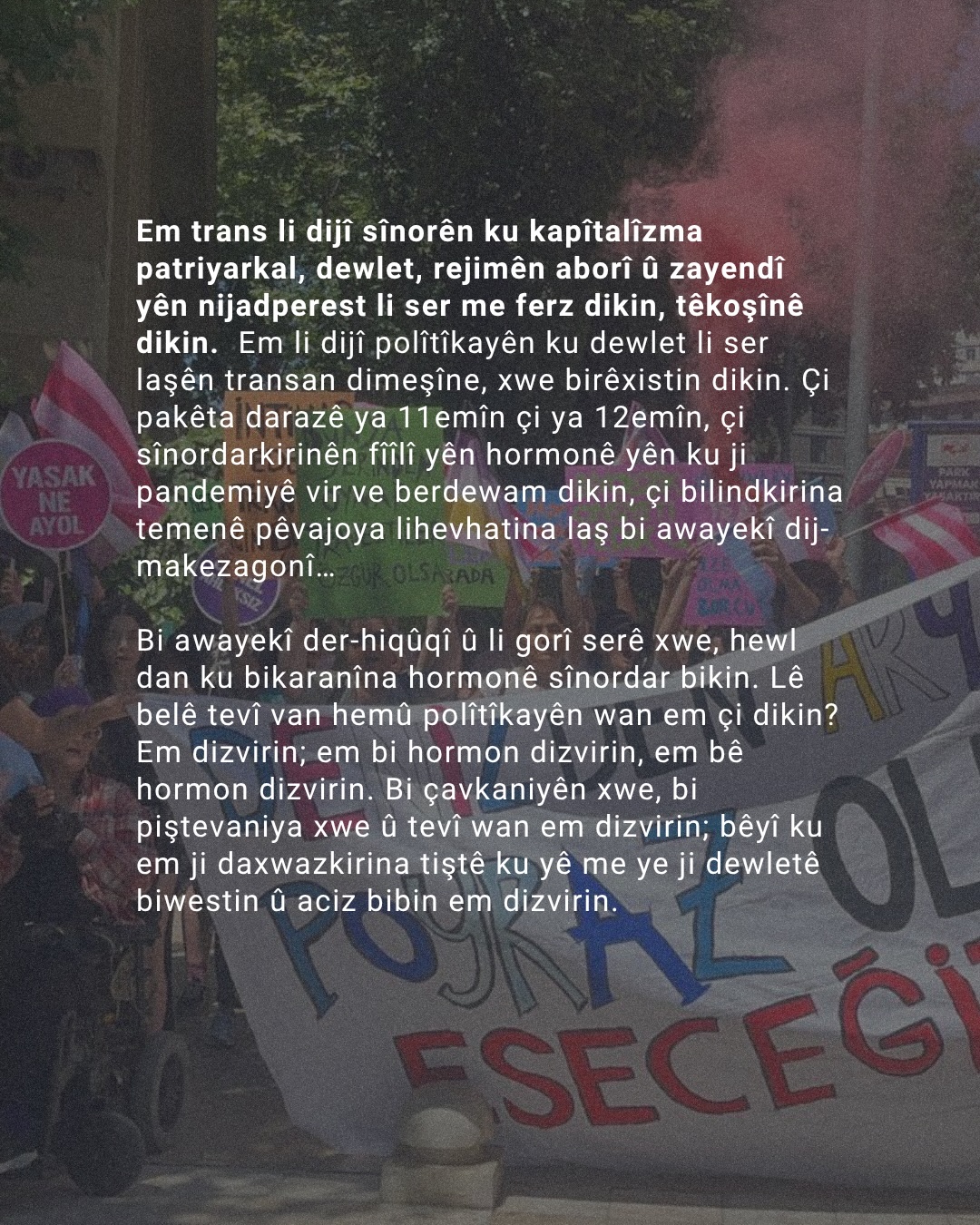 Arşiv medyası