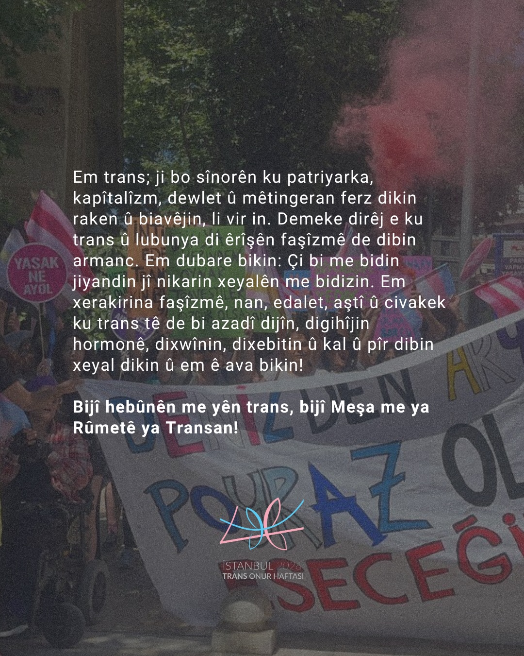 Arşiv medyası