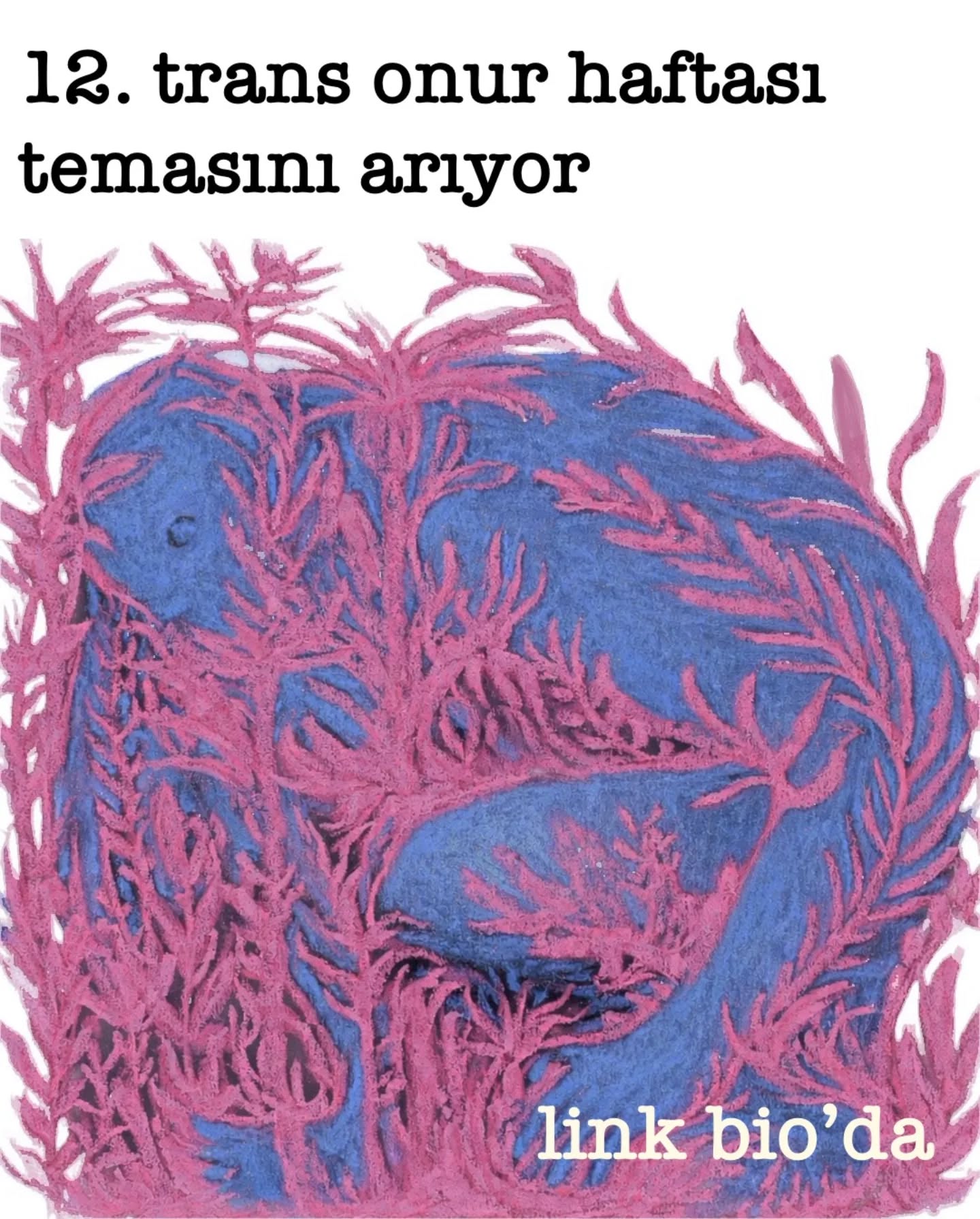 Arşiv medyası