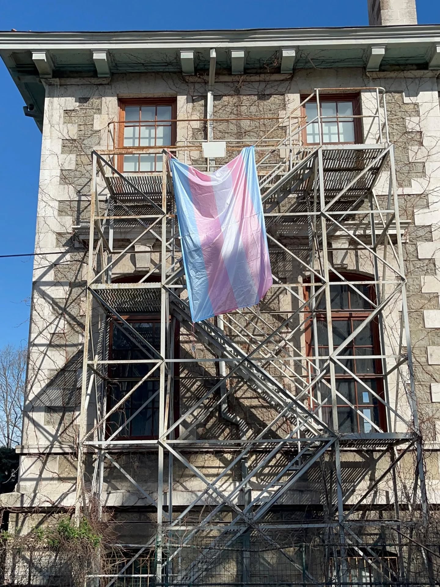 Arşiv medyası